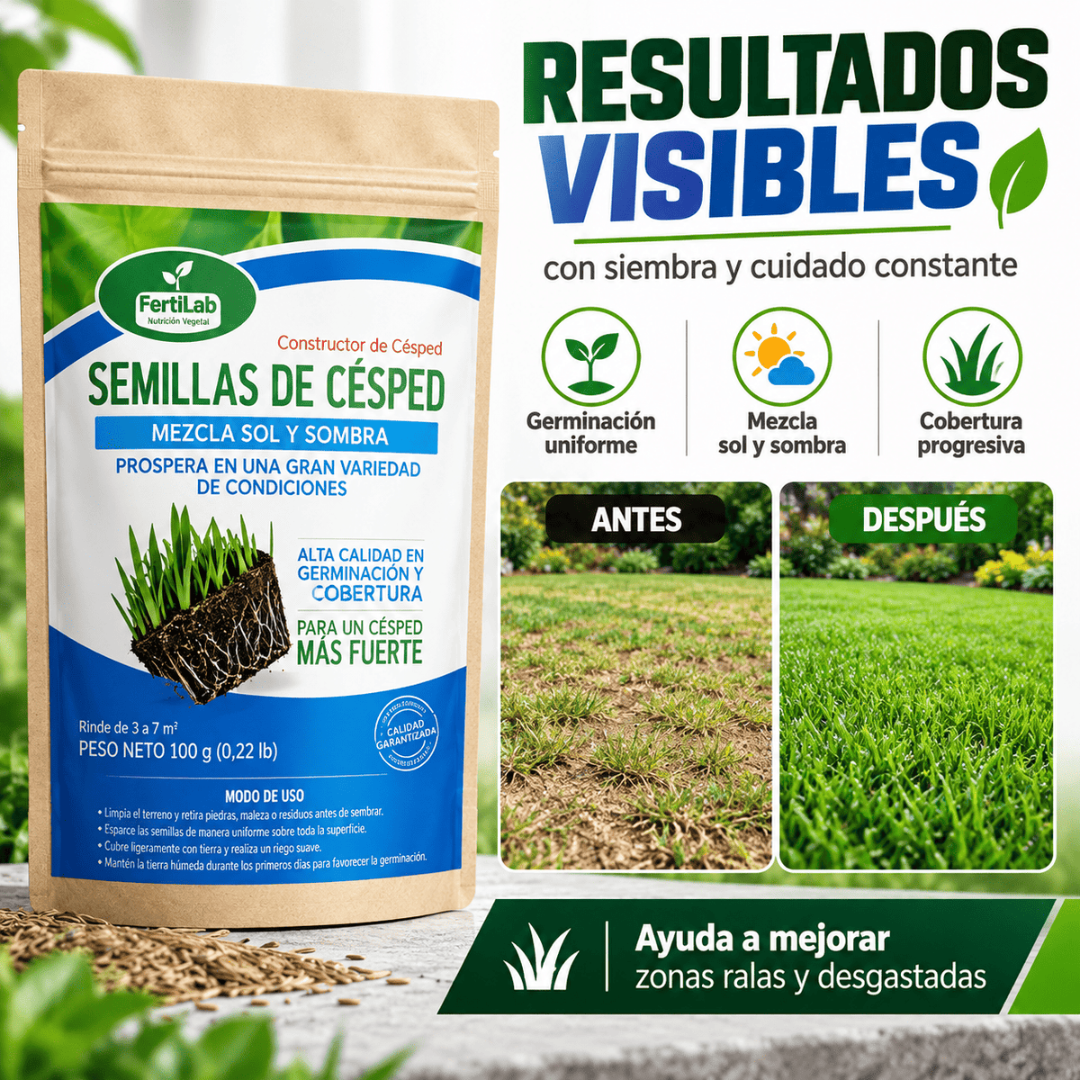 Semilla de Césped - Semillas para Césped Verde, Fuerte y Resistente