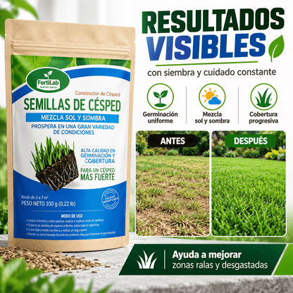 Semilla de Césped - Semillas para Césped Verde, Fuerte y Resistente