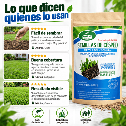 Semilla de Césped - Semillas para Césped Verde, Fuerte y Resistente