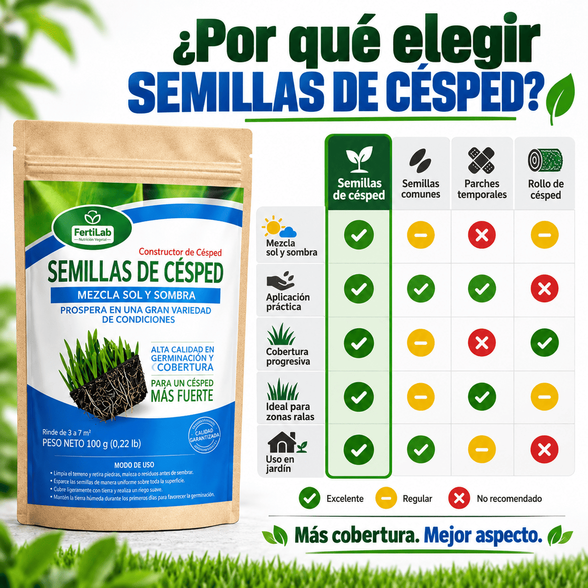 Semilla de Césped - Semillas para Césped Verde, Fuerte y Resistente